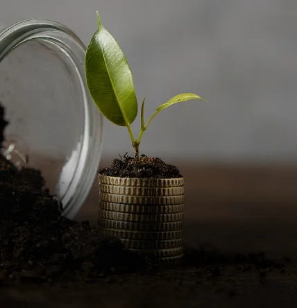 Whole Life Insurance Image