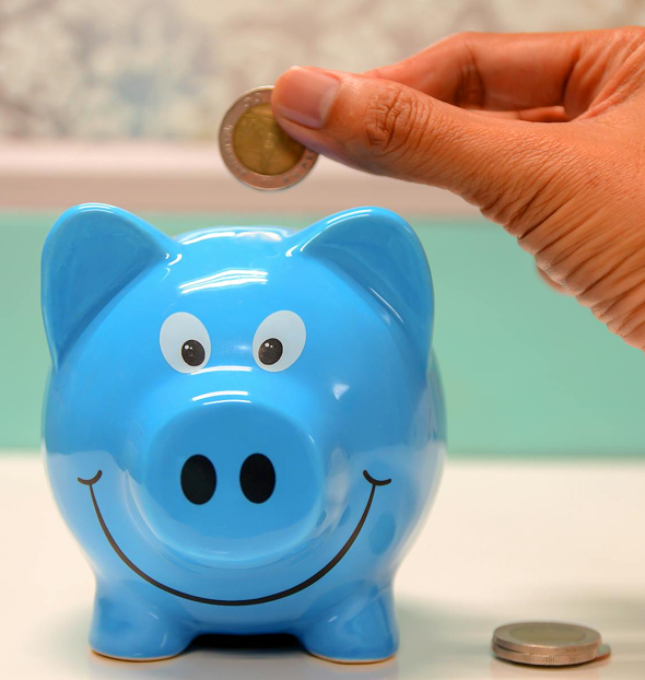 tax contribution